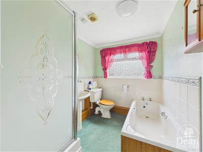 Picture 8